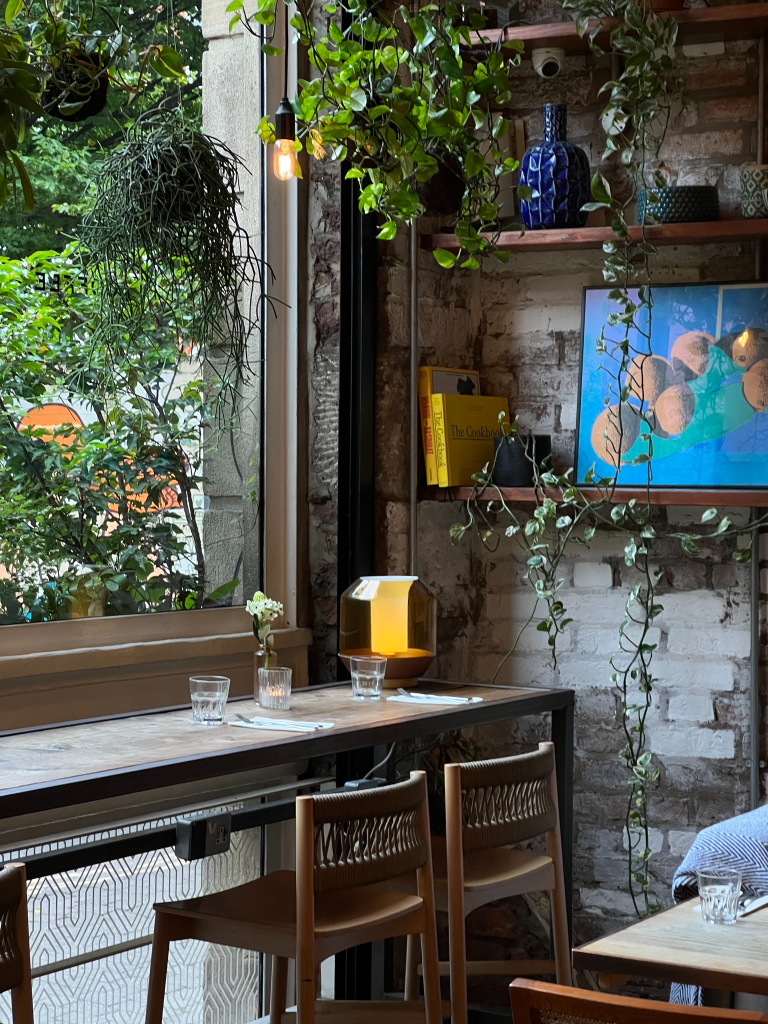 Interior of a cozy cafe with hanging plants, a large window, wooden tables, and soft lighting. Decorative books and a colorful artwork are visible on the shelves.